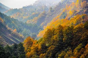 گردنه حیران